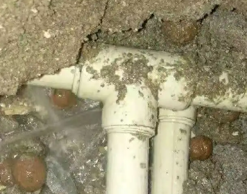 蓝田测漏水多少钱