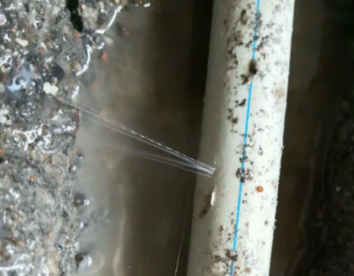 蓝田测漏水哪家好