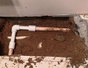 蓝田测漏水哪家好