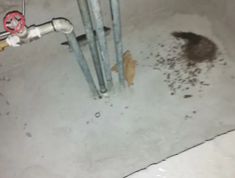 蓝田卫生间测漏水价格明细