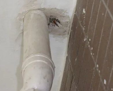 蓝田漏水检测哪家好